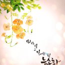 경기도 수원시 팔달구 세지로198번길 이미지