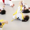 미래의리더효태권도