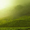 한빛기업 이미지