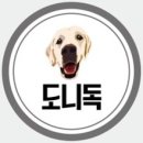 도니독 이미지