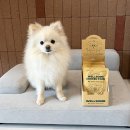 쿠치아 | 강아지 화식 브랜드 웰썸 인섹트 프로틴 애견 화식사료 후기