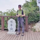 1336차 파평산 이미지