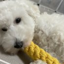 사파민원센터 이미지