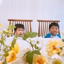 양천구렌탈스튜디오[스튜디오마주]방문후기!/아기와함께한렌탈스튜디오후기!/양천구아기백일상대여하는...