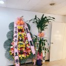 초이성형외과의원 | 논현역 초이성형외과 방문후기, 친구 남편 최익균 원장님 개원 축하