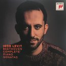 레빗(Levit) 이미지