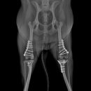 바로슬동물병원 이미지