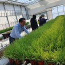 고양시농업기술센터 이미지