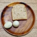 전일양계장 | 소주어터 #9 - 샨토끼 3일 다이어트 후기