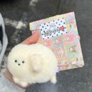 주현목장 | 블챌이 사람을 막 쫄리게 해