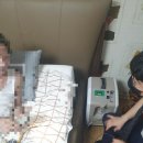 주식회사 썬메디케어 이미지