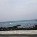 바당봉봉 이미지