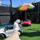 파주힐링몽 이미지