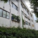 썬스타커피숍 | 영등포구/ 양천구 임장 후기