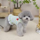 몽몽드림 이미지