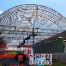 자유천막사 이미지