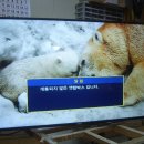 씨에이씨 이미지