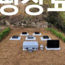 대성장묘 이미지
