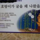 착한호랑이