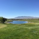 더비치라데나 이미지