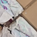 크로스핏 킹콩 | 세부 Arcanys Crossfit 드랍인 후기