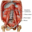 강남와이케이병원 이미지