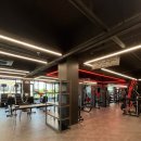 울프짐24 이미지