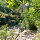 인제06-1 이미지