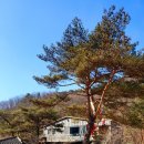학선정펜션 이미지