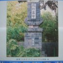 표선청년회의소 이미지