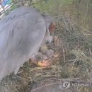 경남야생동물구조센터 이미지