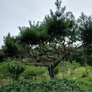 진원농장 이미지