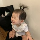 우드유 | Would.U - tidy bag (black) | 우드유 티디백 블랙 후기 𓂃𖨆♡