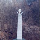 태백중학교 이미지