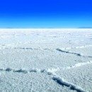 빛과 소금 이미지