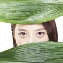 화이트듀 이미지