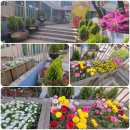 송내1동행정복지센터 이미지