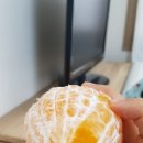 철호농장 이미지