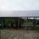 하도문쌈채마을 이미지