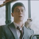 해와달비디오