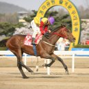 지금이순간 이미지