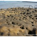 형제해안로 이미지