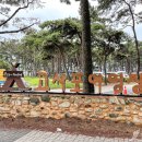 변산반도국립공원 고사포 야영장