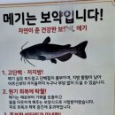 느티나무가든 | 화순 이서면 메기매운탕 맛집 이서가든~^^