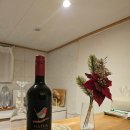 스코리아(청굴물) | 3박 4일 모녀 제주도 여행 1탄(김녕 숙소 : 스코리아 청굴물 / 티웨이 번들 서비스)