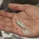 원더바스 슈퍼 베지톡스 그린 클레이 팩 클렌저 사용 후기