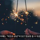 사수를 다루는 방법 (물자리분들 필독) 이미지