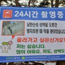 오랑 이미지