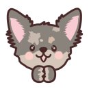 감자동물병원 이미지