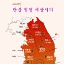 2021년 단풍 절정 예상시기 이미지